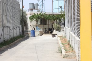 The house at the end of the road: Sabri Gharib's home.